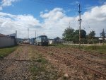 RUMO 9819